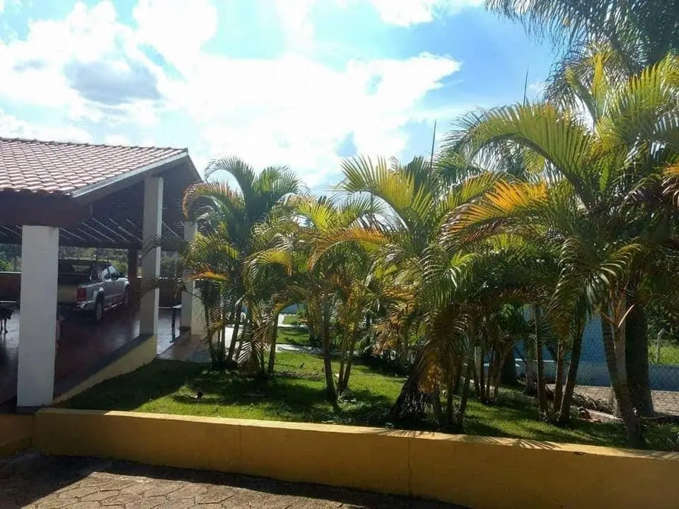 Casas de telhado colonial com área coberta, palmeiras e jardim